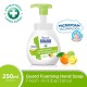 Biore Guard Foaming Hand Soap Antibacterial Pump 250ml - Fruity / Fresh
