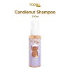 Tropee Bebe Candlenut Shampoo Kemiri Untuk Bayi & Anak - 100ml