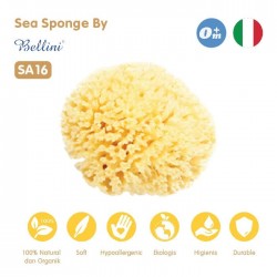 Bellini Natural Sea Sponge Honeycomb No. 16