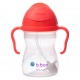 Bbox Sippy Cup 240 ml – Watermelon