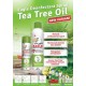 Cap Lang Eagle Eucalyptus Disinfectant Spray Tea Tree - 280 ml (JABODETABEK ONLY)