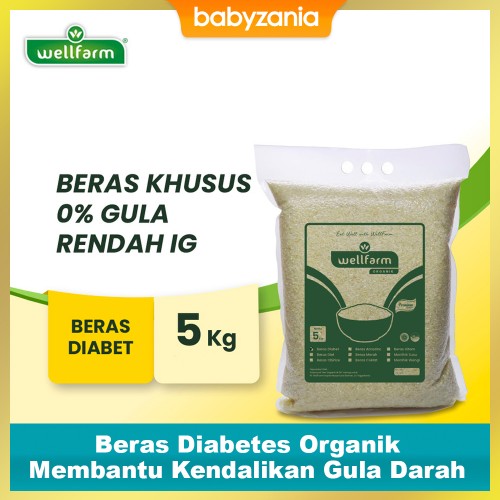 WellFarm Beras Diabetes Organik Free Sugar - 1 Kg