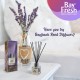 Bayfresh Reed Diffuser Pengharum Ruangan + Refill - Amber Lavender