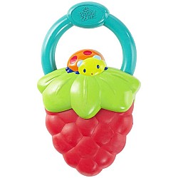 Bright Starts Berry Vibrating Teether